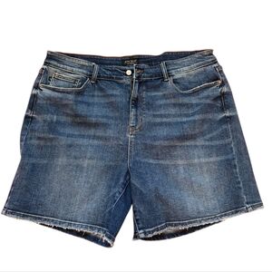 Judy Blue High-Waist Raw Hem Denim Shorts 4x